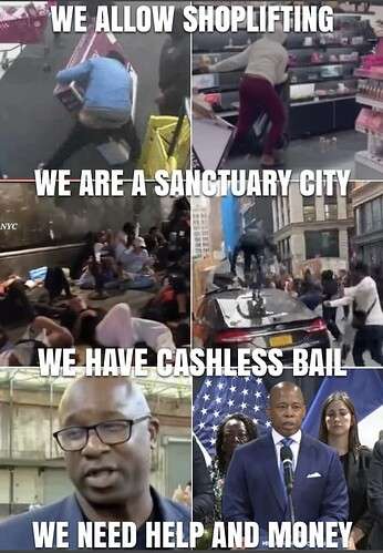 59f41ed0605b4e6a0c3f8c4e683016bfafcdcb93_2_346x499.