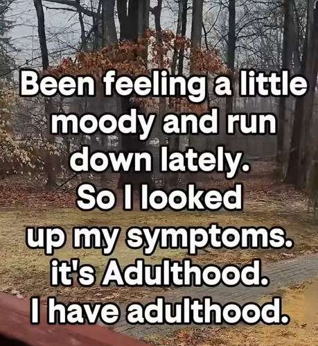 5af315700f1d64c6a5021221e95dd9e325e73ce0_2_459x499.