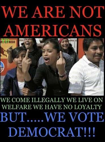 5eb5fd29f0fedeeee14df62d5e9943ef81f09952_2_370x500.