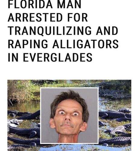 604d9917ea5c8dcd05a5564582dc6ddc643b6aab_2_448x500.