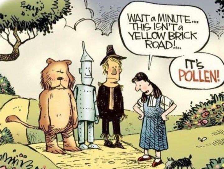 61726026-BD2C-4EC3-9782-B15B2E584CDD.