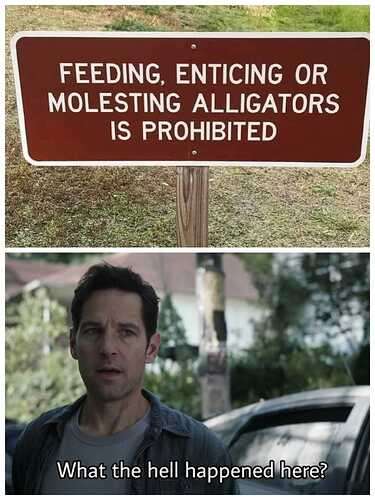 63ac062130b363270d4b5d27090f06f573d19e65_2_375x500.