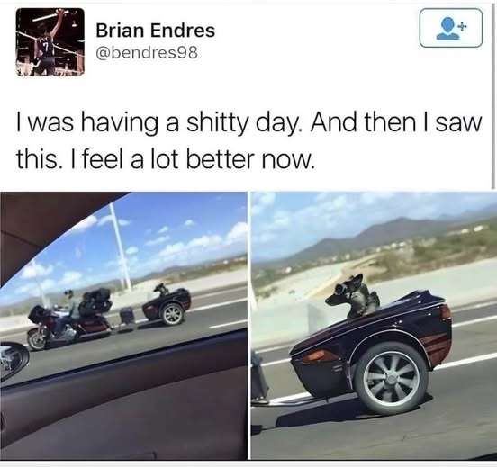 671591291_2412909075823854_7624882919982942931_n.