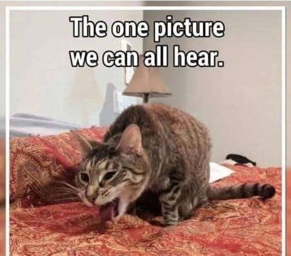 672863405_898811559874564_7504407817891328547_n.