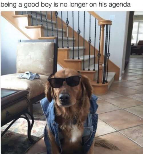 673089567_27070605719210310_6084517261481954901_n.