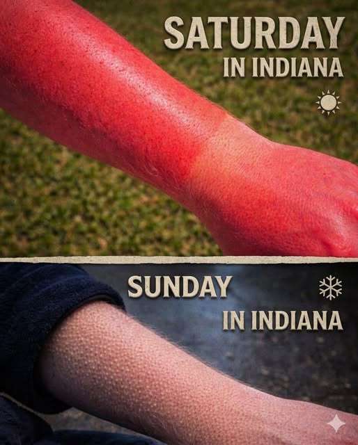 674804969_122181893654830118_7642198870167951744_n.