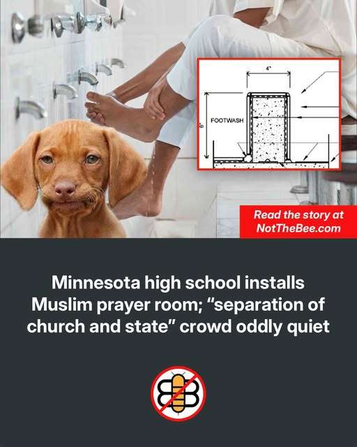 674817213_1298742552447669_2527012020232732320_n.