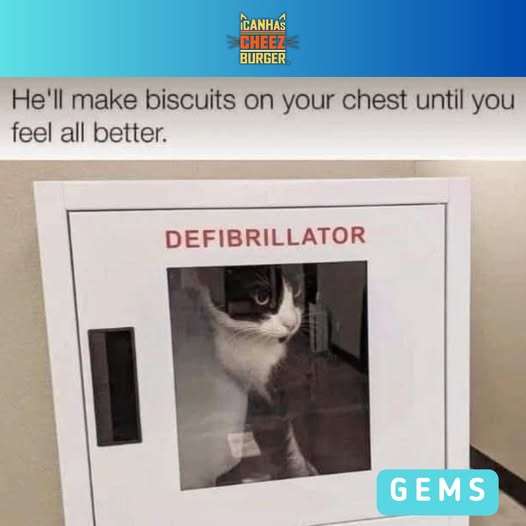 675184033_1405617778274137_3432992323142275636_n.