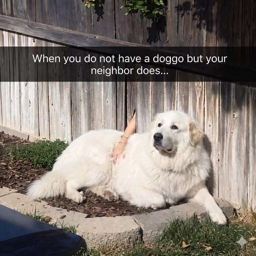 675217244_2106111596626722_6749886055164936595_n.