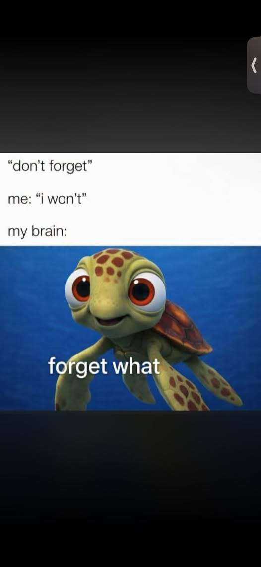 676608519_10103713549788486_5834285966422779729_n.