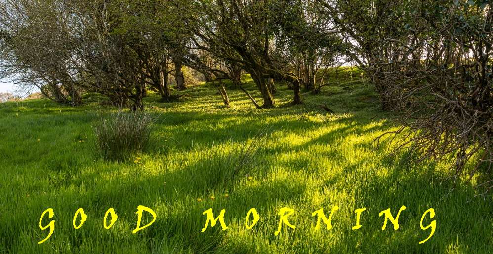 678377962_2350193055503482_3136360394623984214_n.