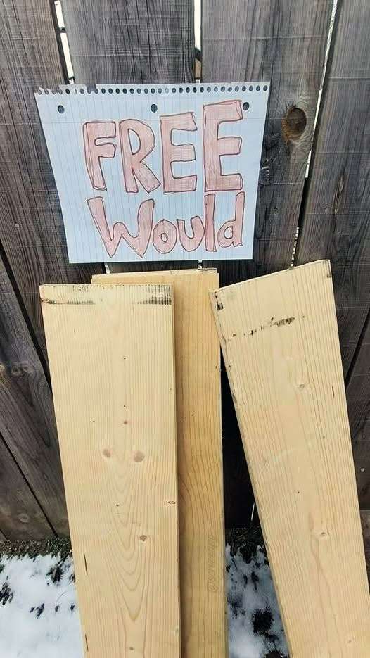 690479438_1290115866640250_8386657050306375399_n.