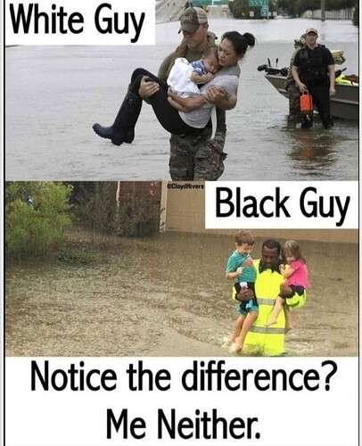 6fbf4ee11066a37803785e6514b59fae5a3008c4_2_406x500.