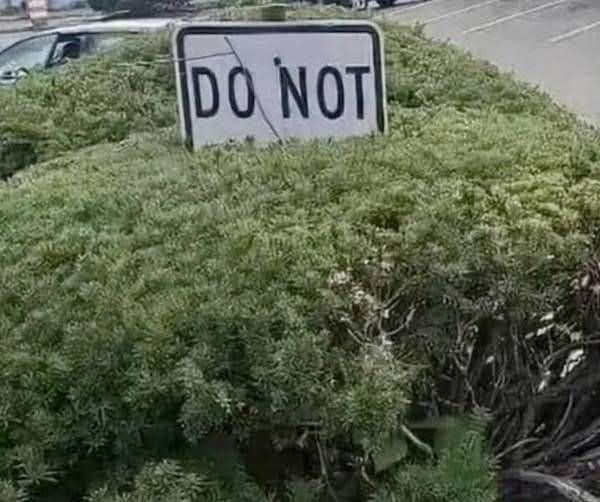 701663979_10163032641612374_6465963736030152509_n.
