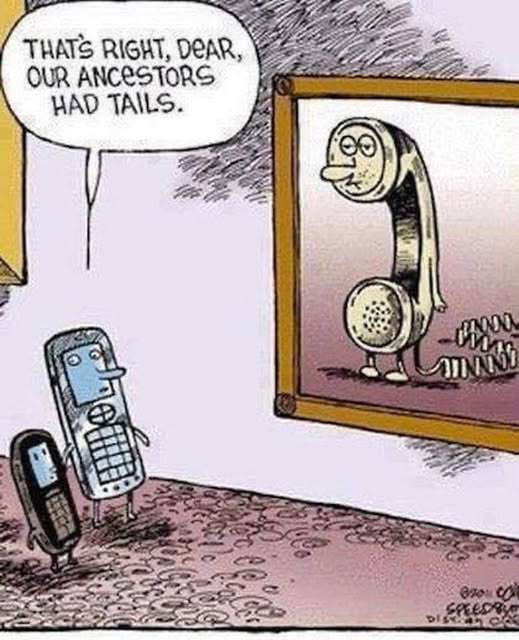 702622041_3610970982403211_8800992005640586514_n.