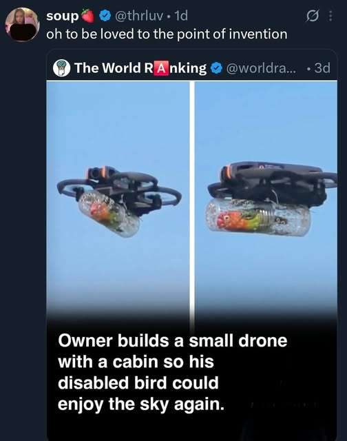 705420737_1427056669459111_1415989106400873328_n.