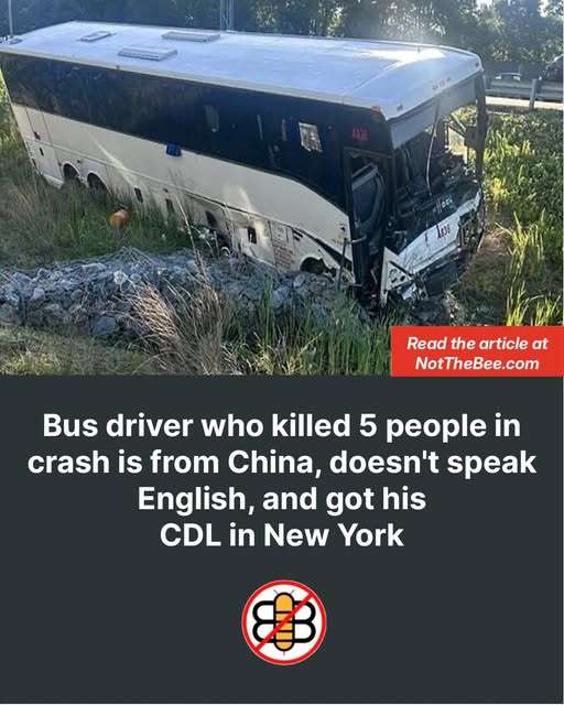 710930125_1332808189041105_2100425133793080643_n.