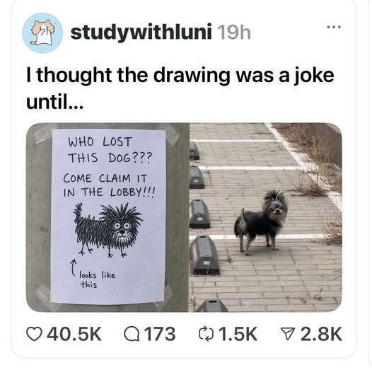 715009097_36467421602871100_764206342434149768_n-1.