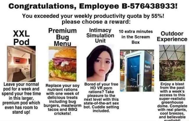 72704206-2BF2-4029-A663-4CFA6D6D5892.