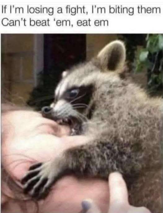 728882896_2891238127889605_1938978220390629128_n.