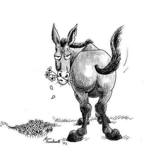 72c758a16ef675549c287db90013b4d763d36d86.