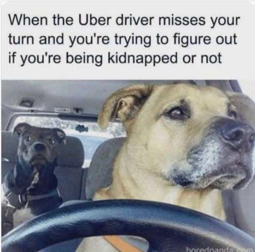 758951258_1053294820499445_460295086889973135_n.