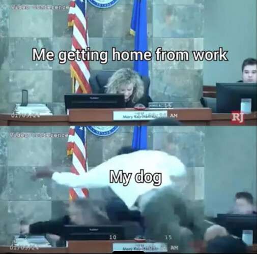 77aafd0ec48025ee00e7a59e15b984f3510375b2_2_505x500.