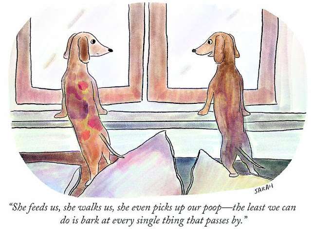7bark-at-every-single-thing-sarah-kempa.