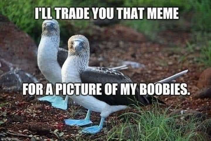 801679ca35df5e8ad1fcc38b1318531a8b1edb2c.