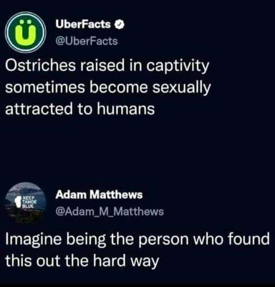 80836bc375289b8f.