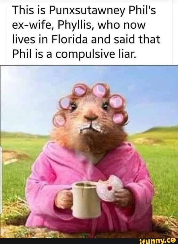 81238e587f8adbe4f31d1620903c4510fd69b59e2d3ec42b6c6f21890ade86a4_1.