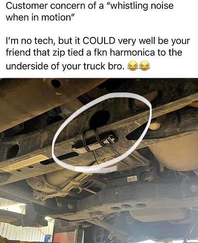 8182034999f6a15b3fc0db6cb6054c5e02bcdfca_2_407x500.