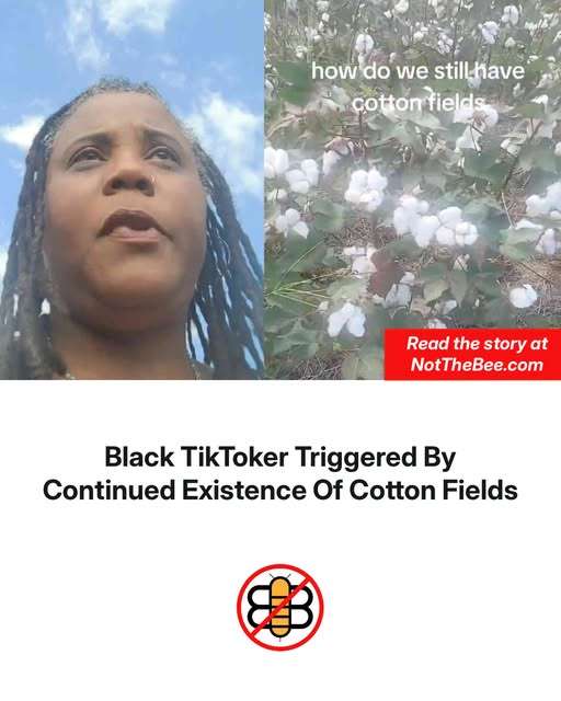 818865596_1091458026718089_6788157809046136643_n.