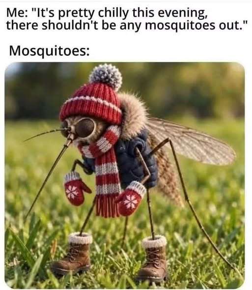 820108508_10234454211916622_243934852879748804_n.