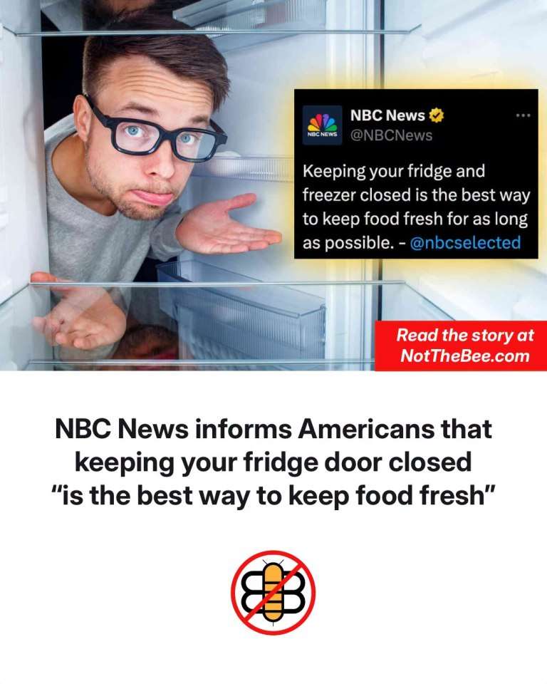 821223485_2320365238788648_360662558501610892_n.