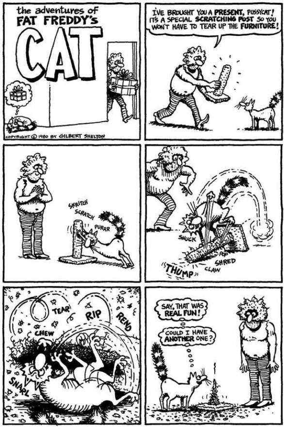 824129537_10236620741472842_366243048187179599.