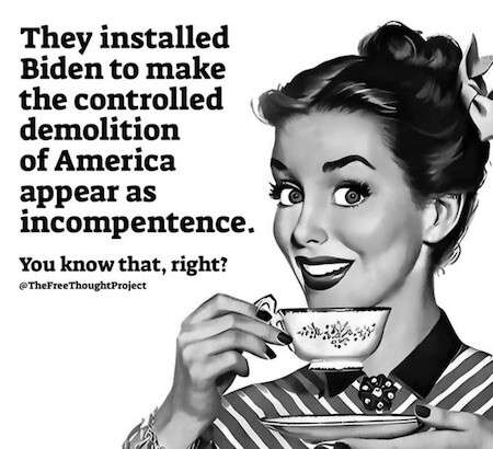 8295505B-E4D2-4EDC-BB72-B954AA022874.