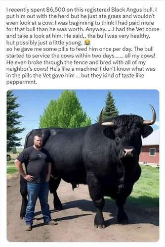 836462e1a8daeb3809acc1a537835f9cdbc3893d_2_334x499.