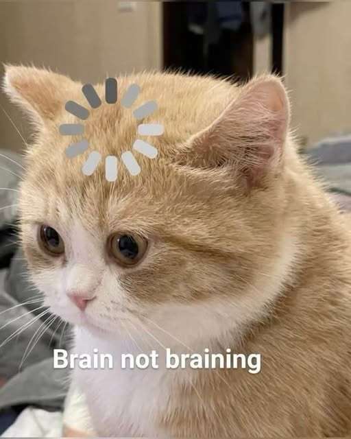 837858943_4476339142626193_747867925508365052_n.