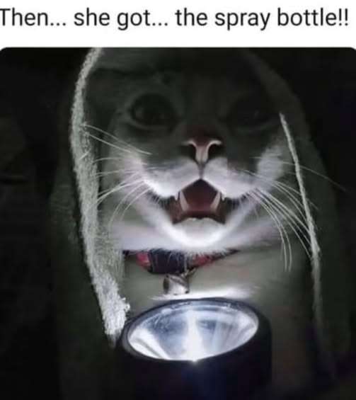 842143804_2239880479921561_1132666757906401618_n.