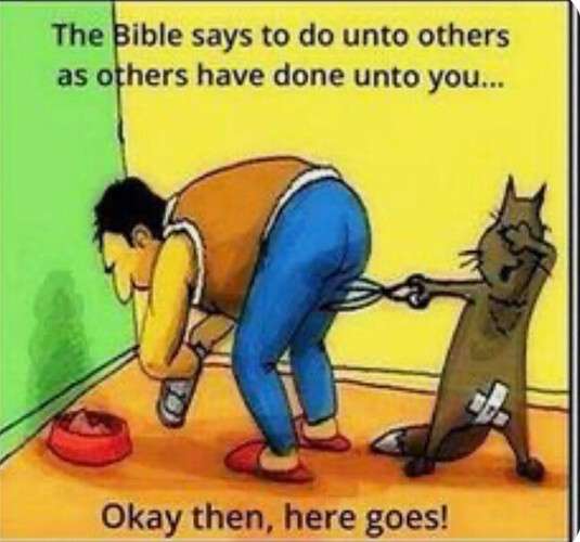 849d1e99a1e45d80f11ccab6a97cb8773a579650_2_535x500.