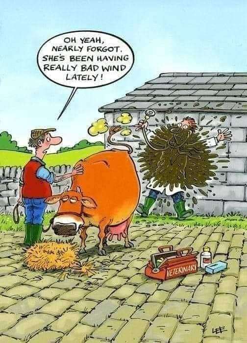 87687c87a9373fafc8cd68597cdecbac104aa615.