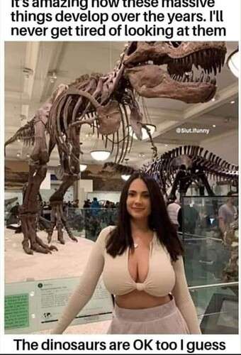 8fd154de071623f2a29e511ef6760153805a964a_2_340x500.