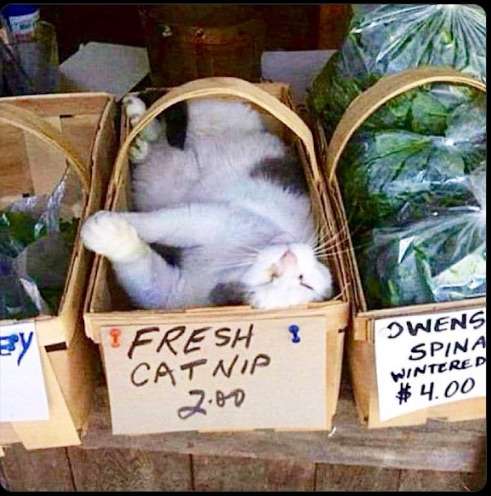 90BEEF80-531F-4C3D-AB53-45C64781DF03.