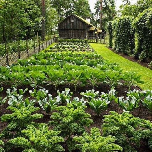 90miles1ebd5b447e5e875d2163058e414de766_37b28400_540.