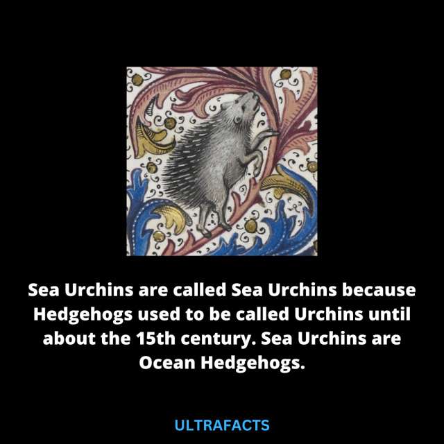 90miles5af3a3f9fed0c19e9f56034a46698348_10d770b1_640.