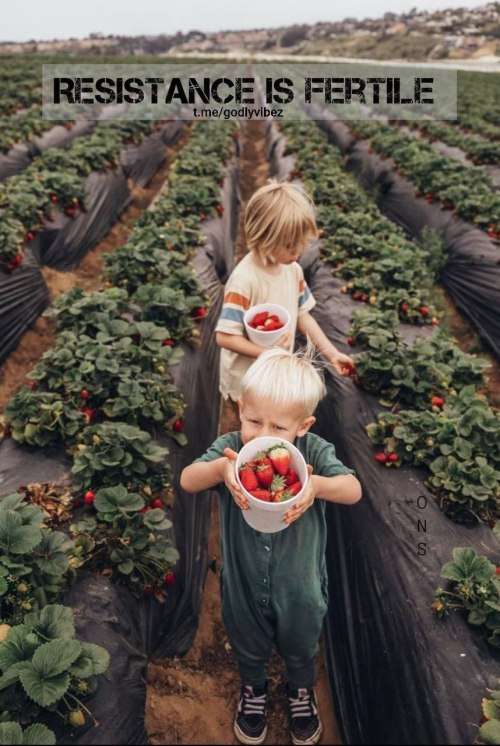 90miles7eb7cfeb93f1679f6d54c21565645607_e0da2724_500.