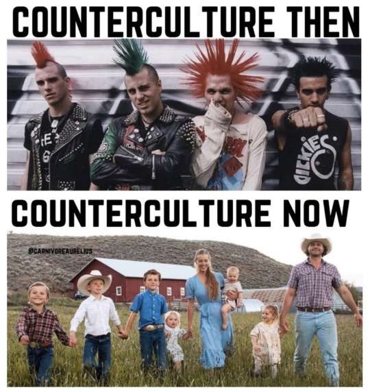 90mimb_6f505a5007ccee35a02fb7f221ea124e_eac7c7ee_540.