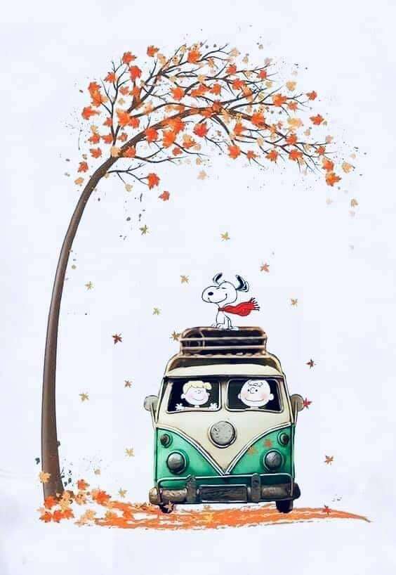 90mimb_715717e003cb4961a7cf079f693a8f1f_76af710f_640.