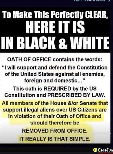 9159b7ffd93a4729752f6387202da5119a513b1a_2_369x500.